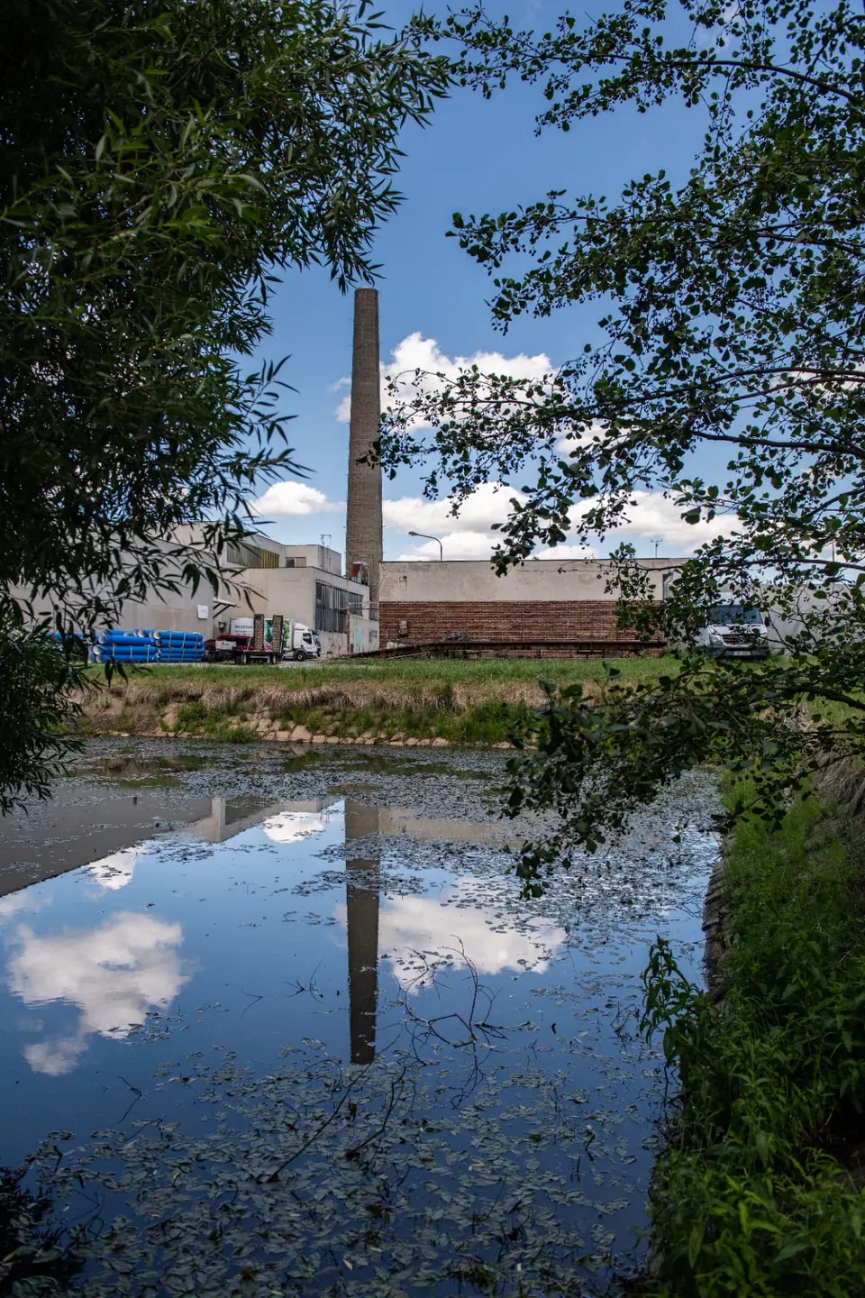 DORADO Jihlava — náhled 11